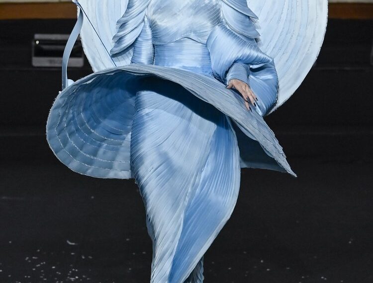 CHENEY CHAN DREAM IN BLOOM